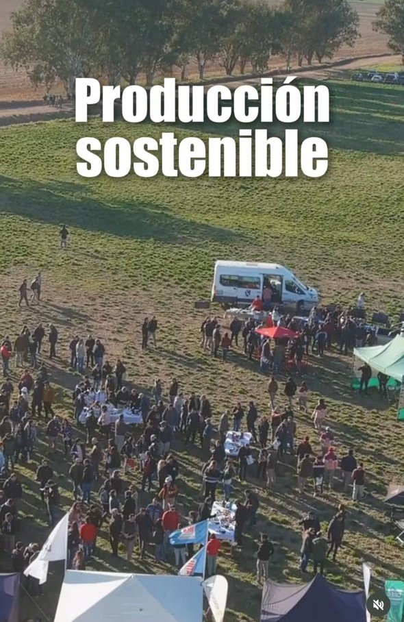 Voluntarios ayudando a la comunidad