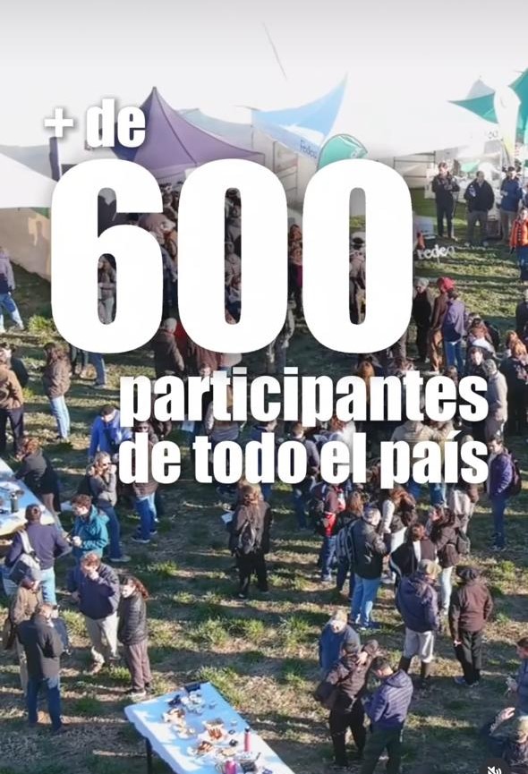 Voluntarios ayudando a la comunidad