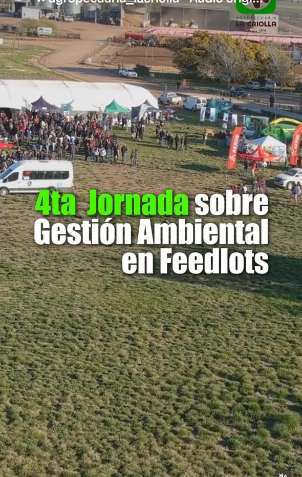 Voluntarios ayudando a la comunidad